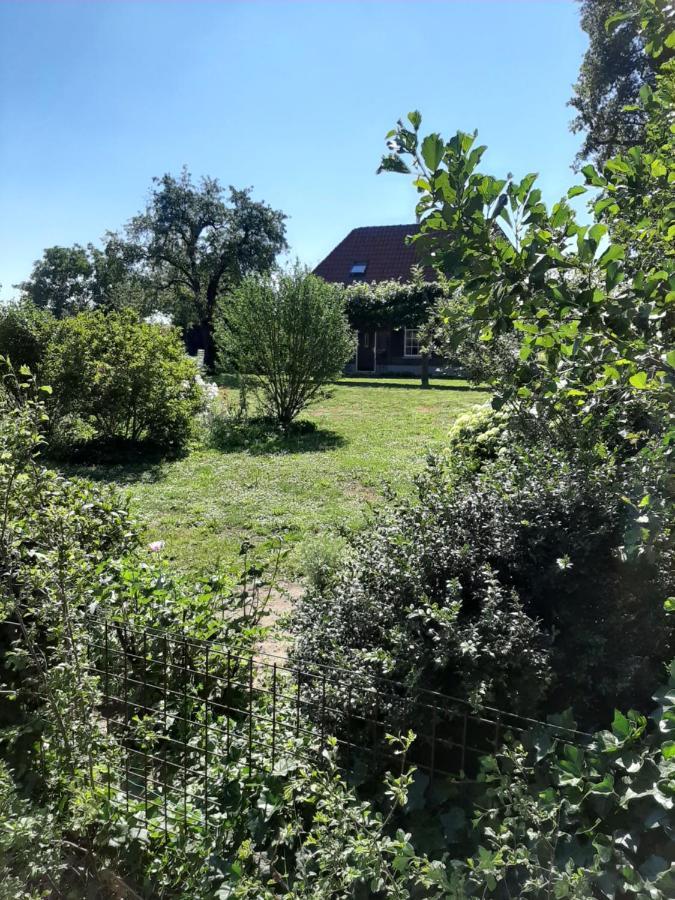 Bruiler Hof Bed & Breakfast Ruurlo Bagian luar foto