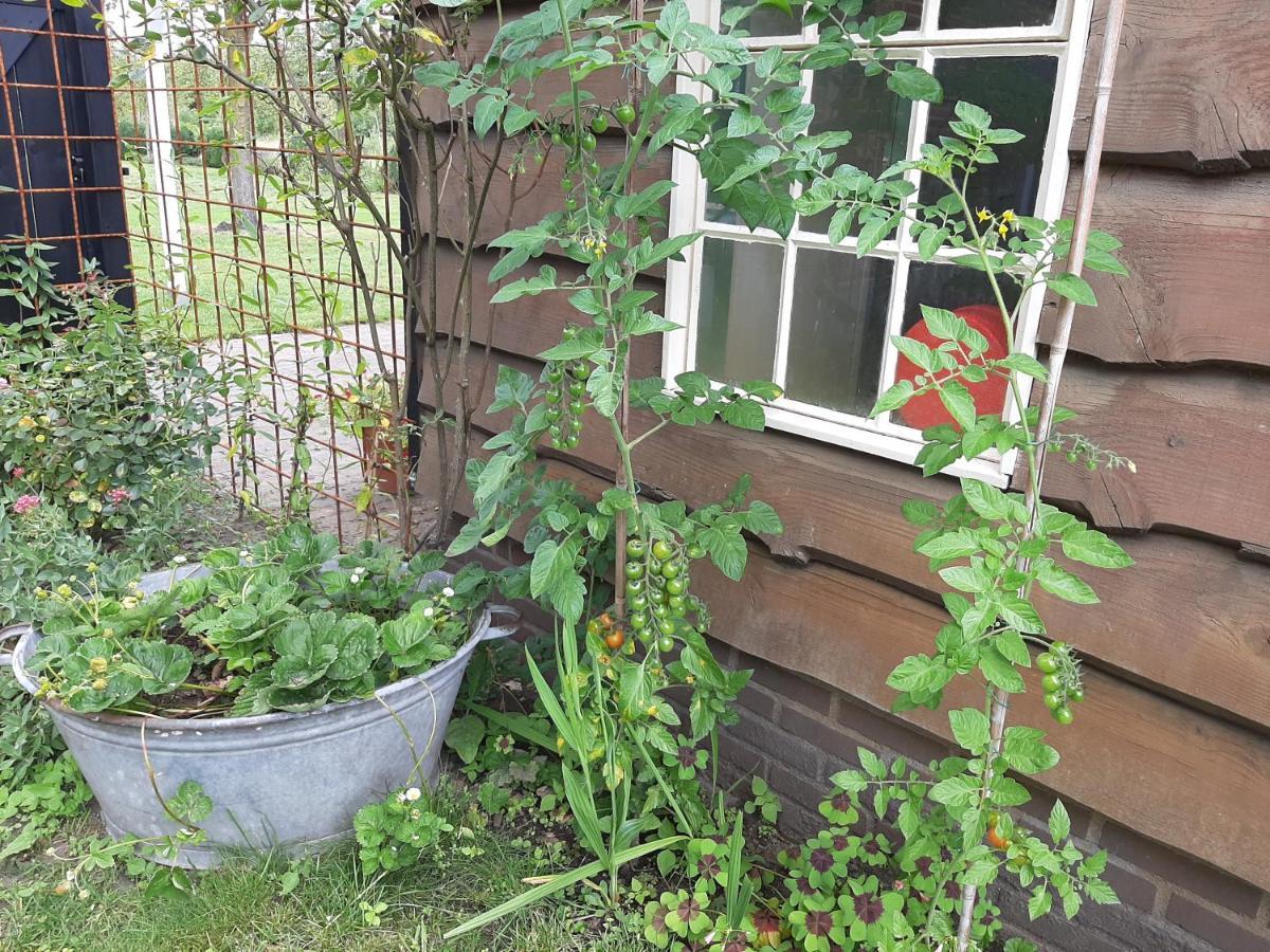 Bruiler Hof Bed & Breakfast Ruurlo Bagian luar foto